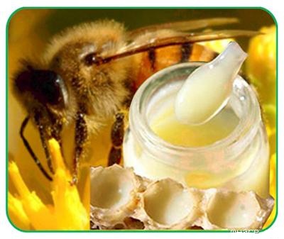 Sữa ong chúa giúp chống lão hóa da hiệu quả