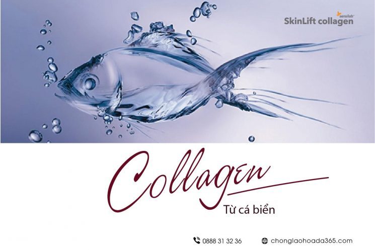 uống collagen nhiều có tốt không 1-skinlift collagen