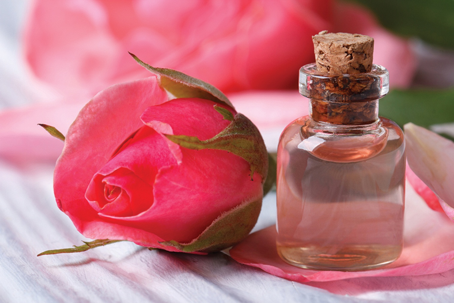 Đừng bỏ lỡ các cách chống lão hóa da mặt tại nhà hiệu quả với hoa hồng