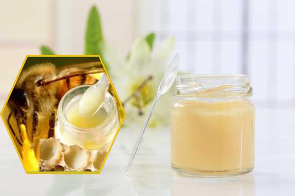 Uống collagen với sữa ong chúa có tốt không? Loại nào hiệu quả hơn?
