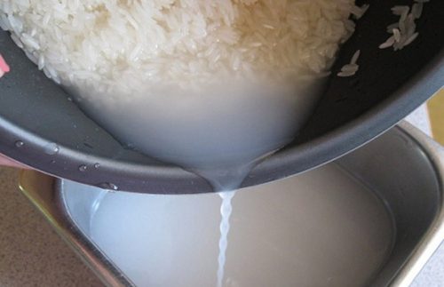 Bị mụn có nên rửa mặt bằng nước vo gạo hay không?