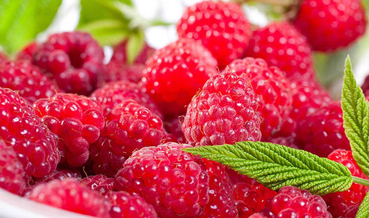 Đừng bỏ qua 8 loại trái cây tốt cho da mặt ở tuổi 27