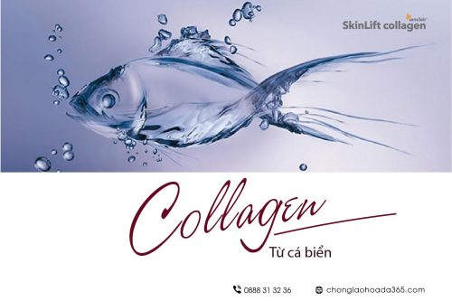 Cho con bú uống được collagen không? Collagen nào dành cho mẹ tốt?