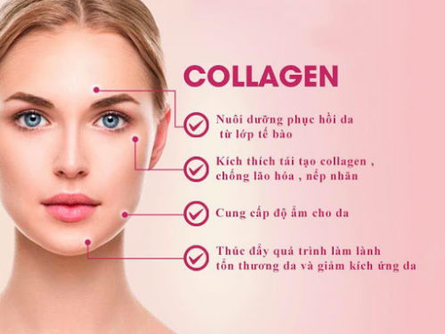 Những loại thực phẩm giúp thúc đẩy sản xuất collagen hiệu quả