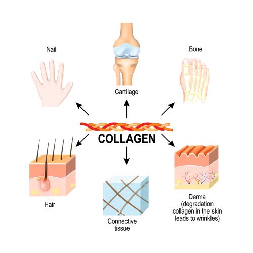 Liệu bạn đã hiểu và dùng đúng collagen làm đẹp da?