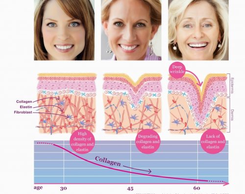 Bạn đã thực sự am hiểu về làn da và sự hao hụt collagen theo thời gian?