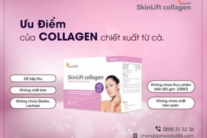 ưu điểm collagen chiết xuất từ da cá