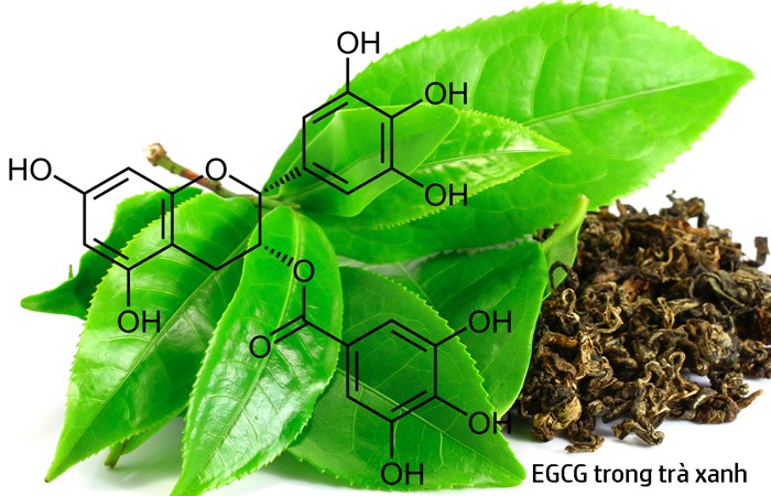 Các chất bổ sung lý tưởng để duy trì sự trẻ trung cho da 