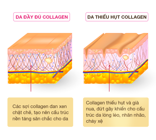 Những lưu ý trong cách dùng collagen nam giới cần nắm được