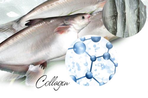 Có nên uống collagen làm đẹp da sau sinh 1 tháng không?